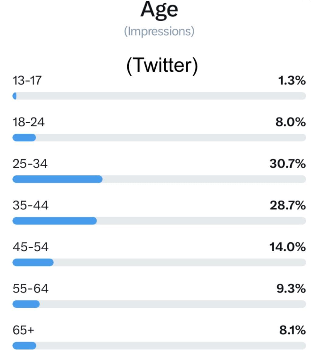 Twitter audience demographics
